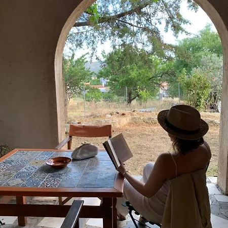 Daire Mavilia Traditional *