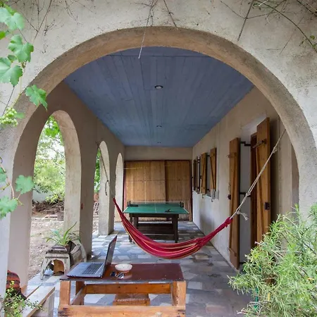 Daire Mavilia Traditional *